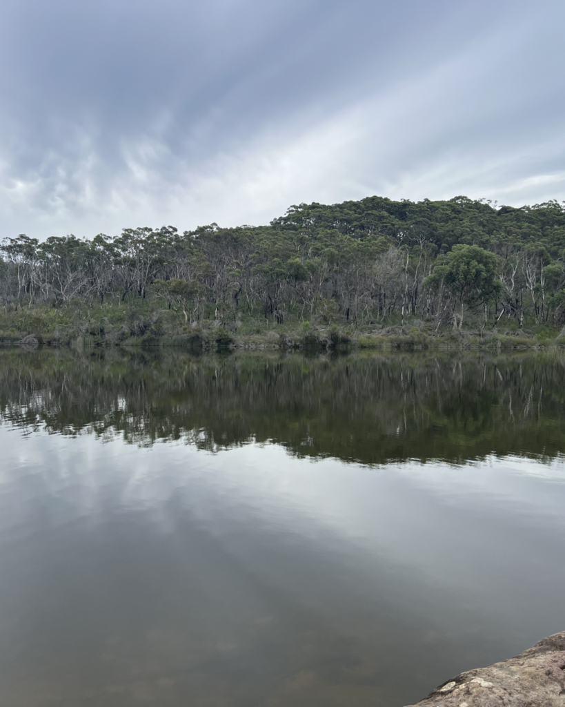A still lake at Manly Dam perfectly mirroring the tree line and sky above
